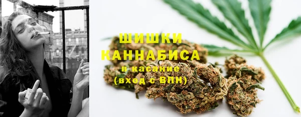 таблы Богородицк
