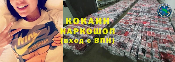молекула духа Богородск