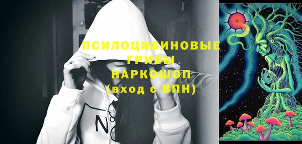 таблы Богородицк