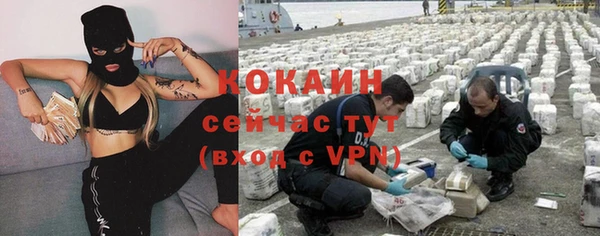таблы Богородицк
