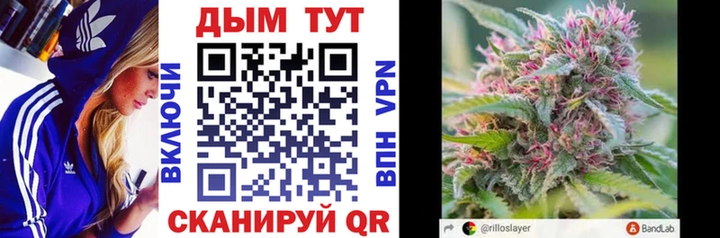 Канабис OG Kush  Стерлитамак 